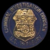 UNITED STATES DEPARTMENT OF THE TREASURY CRIMINAL INVESTIGATION VIP PIN